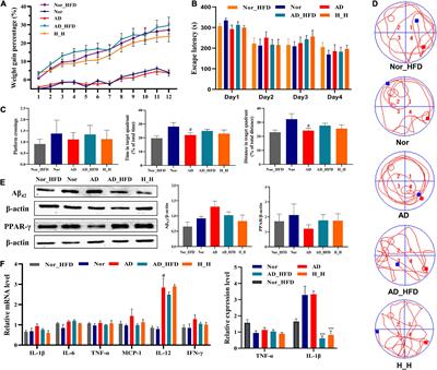 A multi-network comparative analysis of whole-transcriptome and translatome reveals the effect of high-fat diet on APP/PS1 mice and the intervention with Chinese medicine